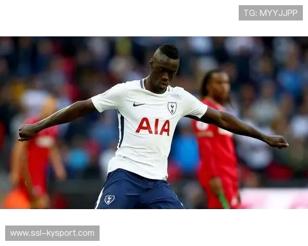 英超球员职业生涯长度，科学延展方法探讨